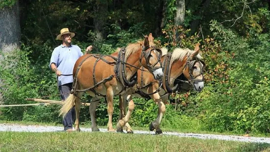 Johnston Farm And Indian Agency