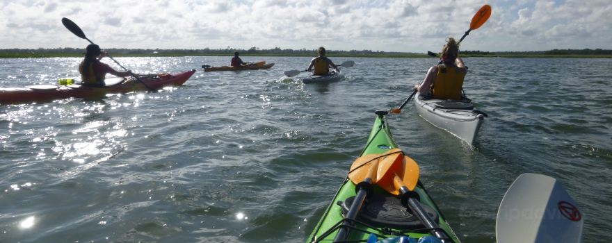 Paddle NC