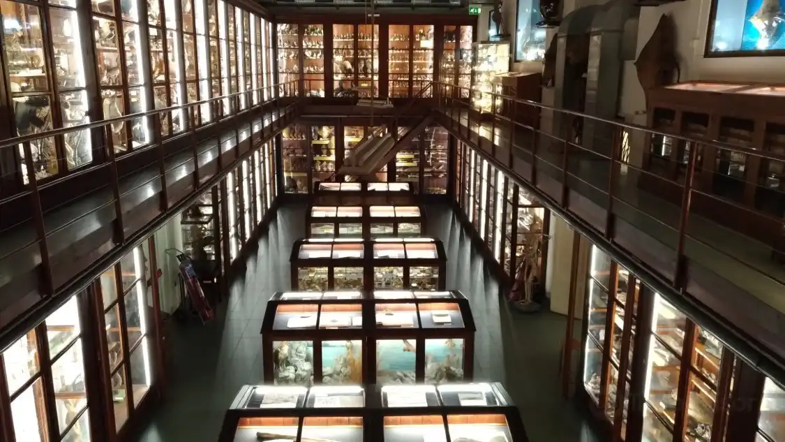 Hotel in zona Museo di Zoologia Doderlein