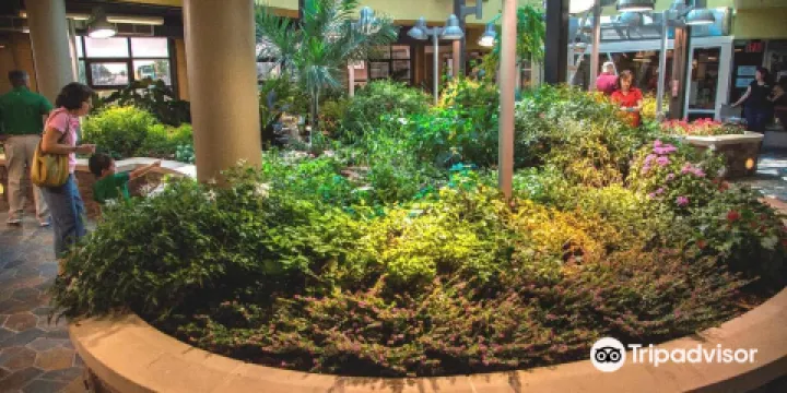 Science Museum of Western Virginia