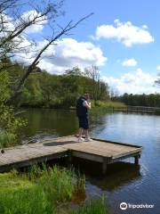 Caistron Trout Fishery