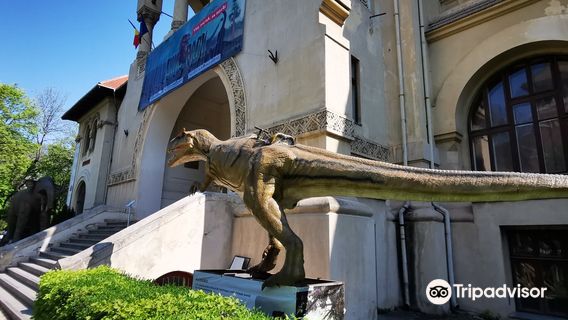 National Museum of Geology