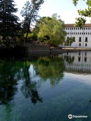 Museu Moli Paperer de Capellades