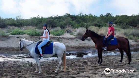Cavallo Natura