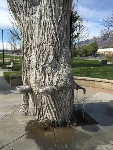 Hotels in North Ogden