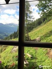 Bucheben-Steinalm-Feldereralm Wanderweg