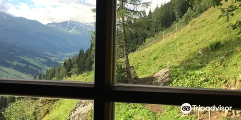 Bucheben-Steinalm-Feldereralm Wanderweg