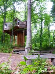 City Forrest Tree House