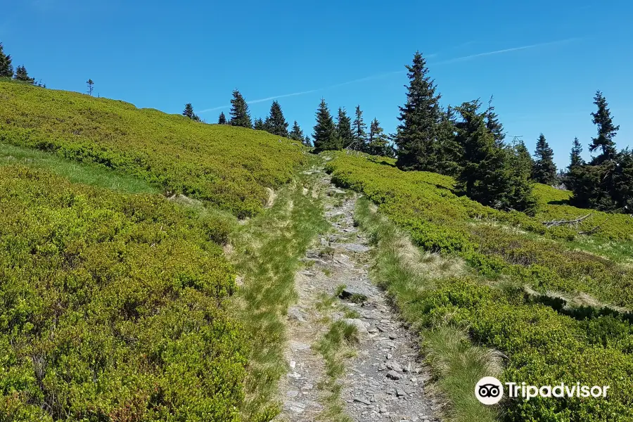 The nature trail of Velká kotlina