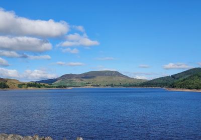 Llyn Celyn