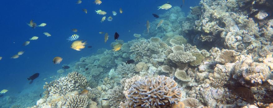 Fulidhoo Dive & Water Sports