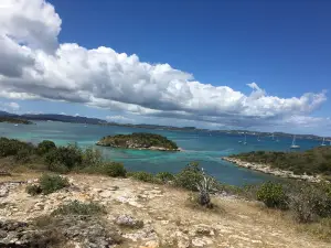 Paddles Snorkel and Kayak Eco Adventure