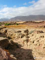 Wild Dog Safaris, Namibia