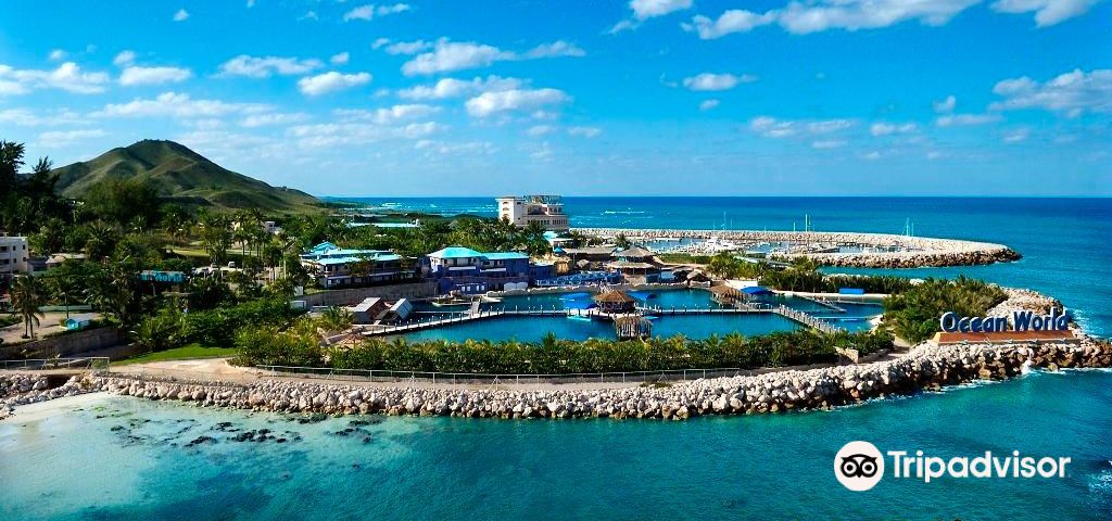 Puerto PlataExcursions d'une journée