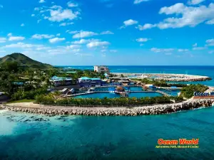 Ocean World Adventure Park