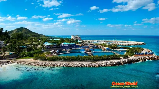 Ocean World Adventure Park, Puerto Plata