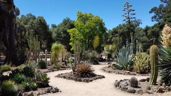 Arizona Garden