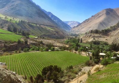 Elqui Valley