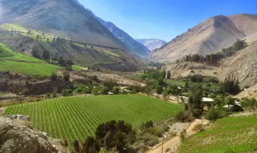 Valle de Elqui (Elqui Valley)
