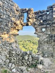 Ruines du château d'Allègre