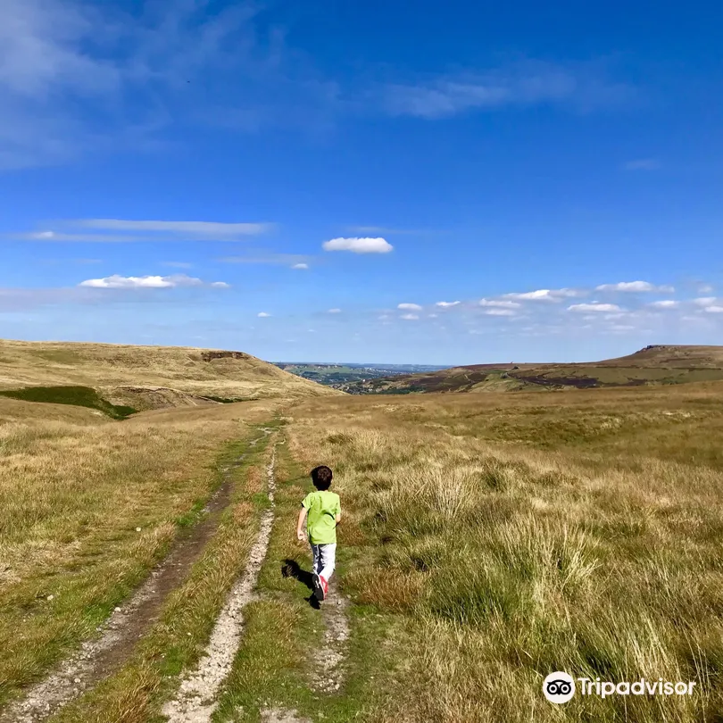 3_National Trust - Marsden Moor
