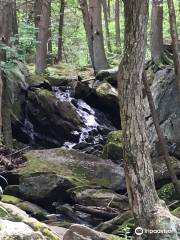 Buttermilk Falls