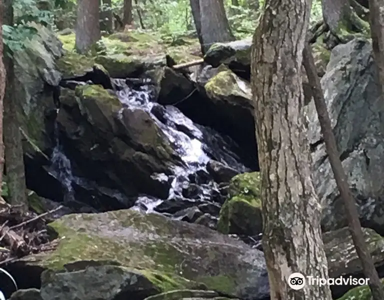 Buttermilk Falls