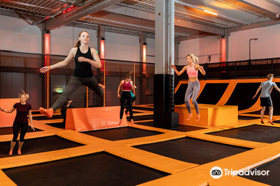 NINFLY - Home of modern Sports