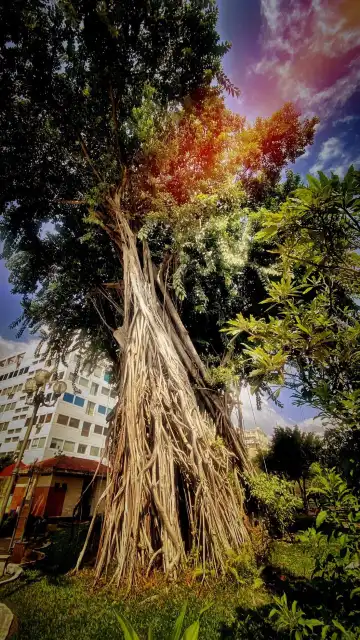 Bach Tung Diep Park附近的飯店