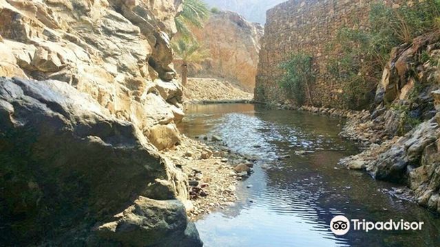 Wadi Shees