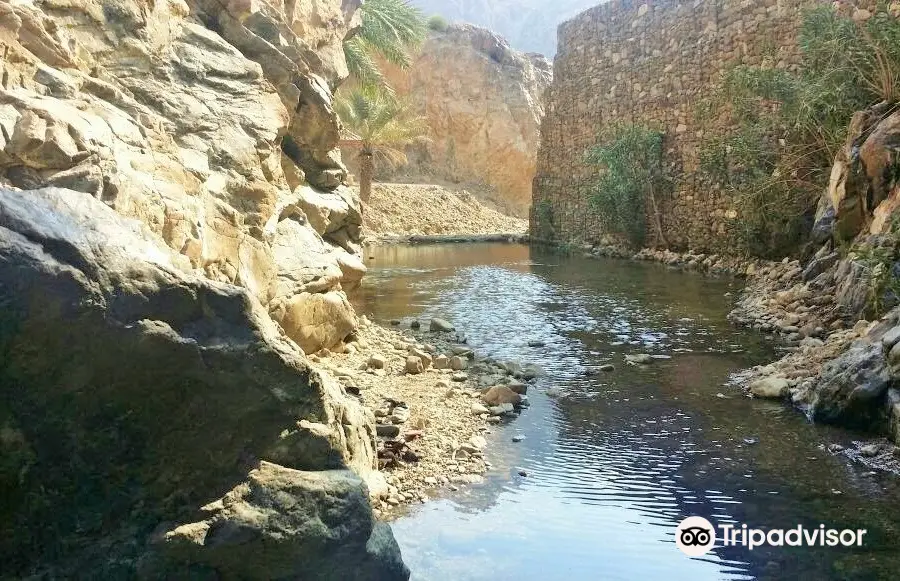 Wadi Shis