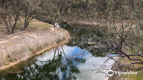 Richardson River