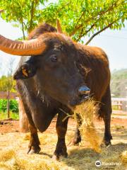 ZooParc Du Cannet Des Maures