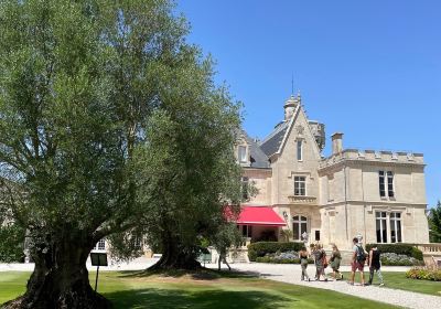 Chateau Pape Clement