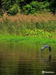 Horseshoe Lake State Park