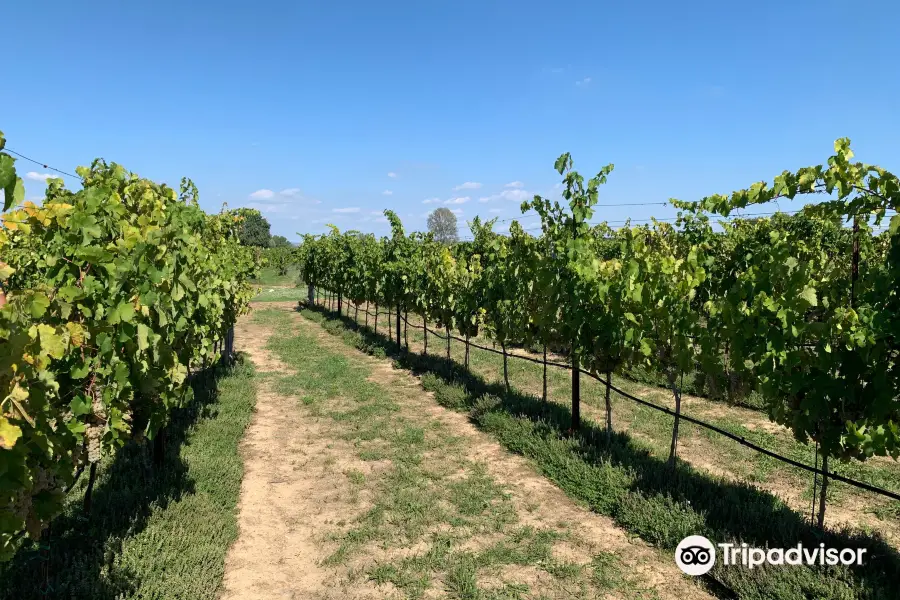 Bergamini Azienda Agricola