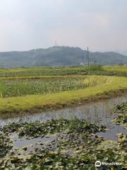 Cheongdo Eupseong Fortress