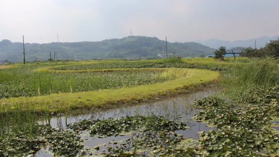 清道邑城