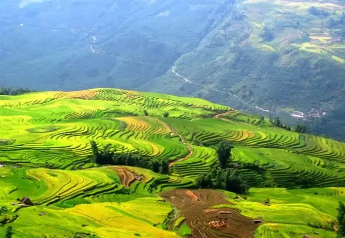 Hotels near Terraced Rice Fields
