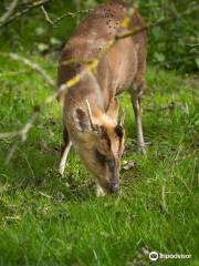 Paxton Pits Nature Reserve