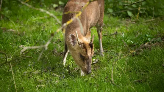 Paxton Pits Nature Reserve