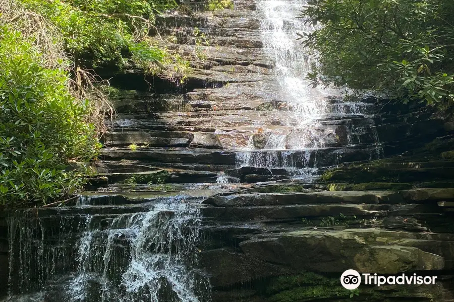 Angel Falls Trailhead