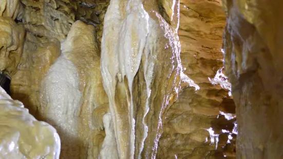 Mark Twain Cave and Cameron Cave