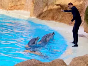 Loro Parque