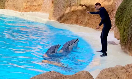 Loro Parque