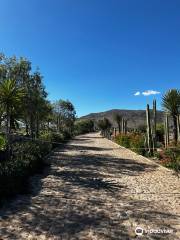 Lavander Farms Of Pozos