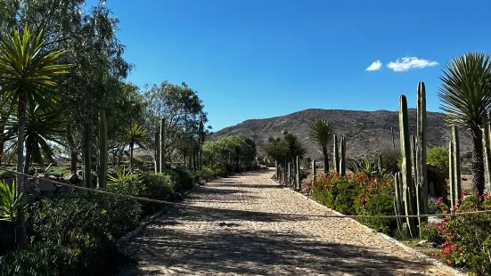 Lavander Farms of Pozos