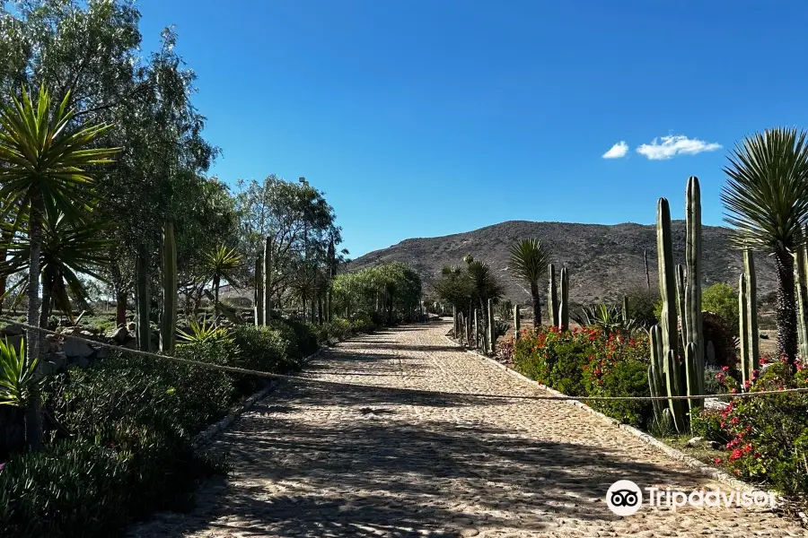 Lavander Farms of Pozos