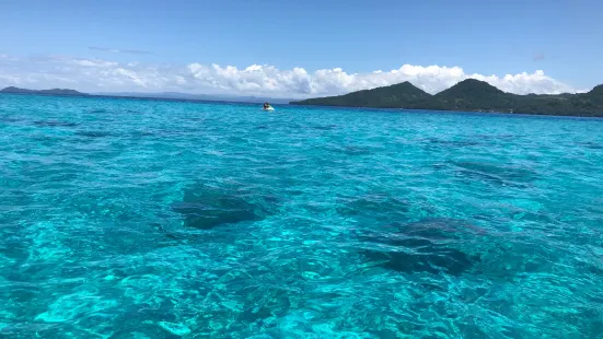 Jetski Safari Fiji