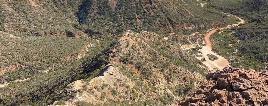 Thomas Carter Lookout Walk